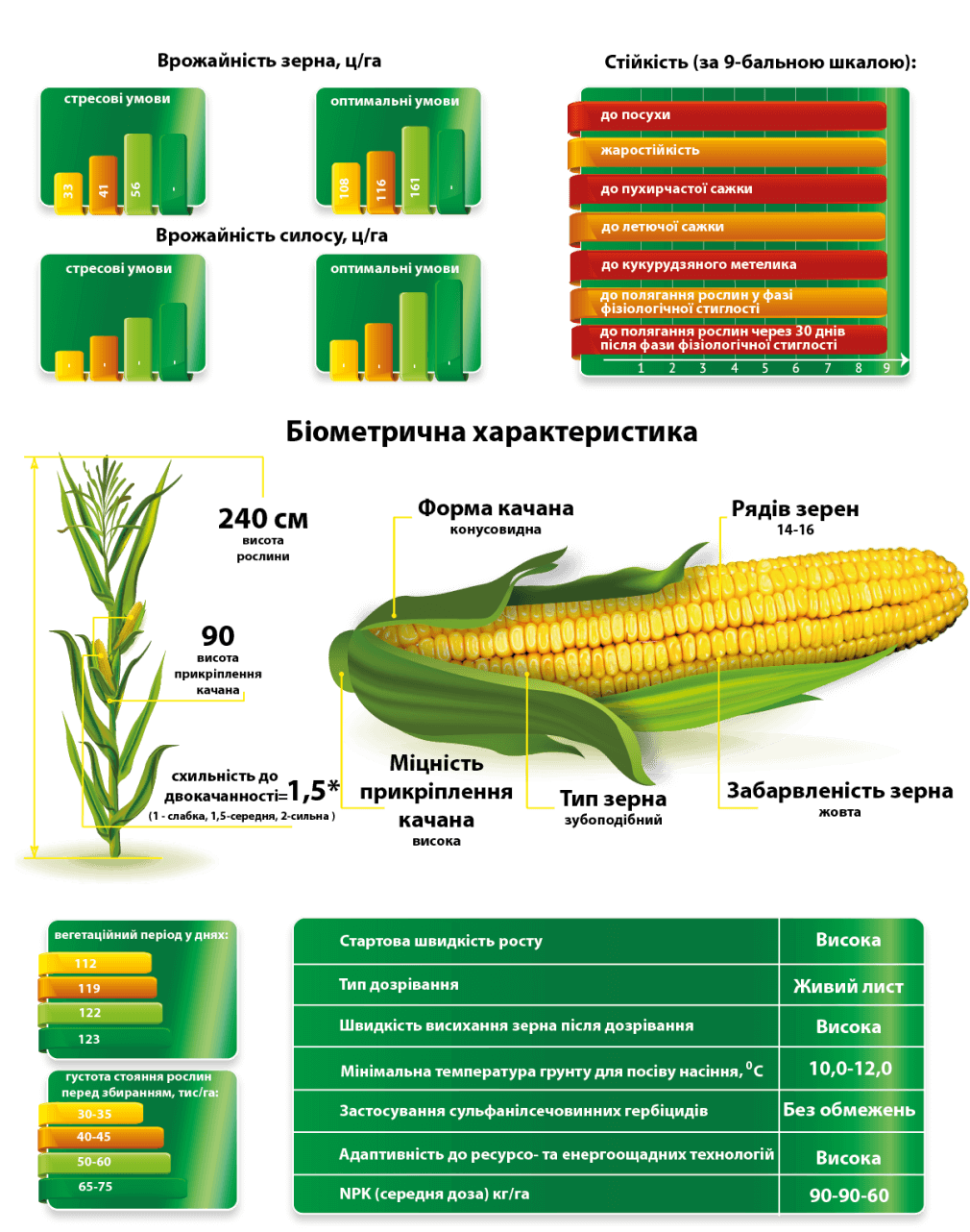 Маїс Візир насіння