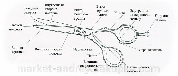 Ножницы JAGUAR от А до Я