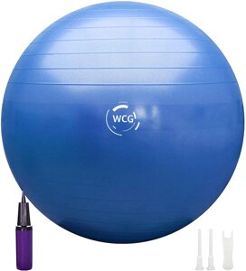 М'яч для фітнесу (фітбол) WCG 55 Anti-Burst 300кг Блакитний + насос