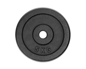 Металевий диск (млинець ) для гантелей і штанги вага 5 кг посадковий діаметр 25 мм