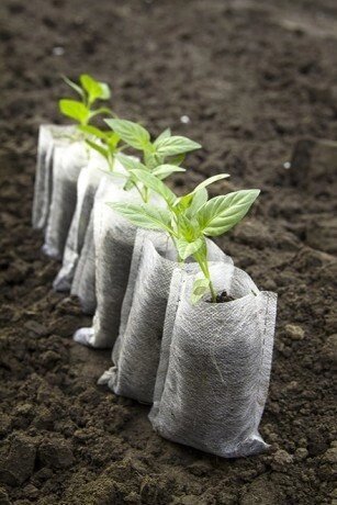 Мішки для посадки рослин 12х13 см, 100 шт від компанії Інтернет-магазин Кo-Di - фото 1