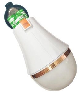 Світлодіодна лампочка 30 Вт, 220 мм зі змінними акумуляторами 18650