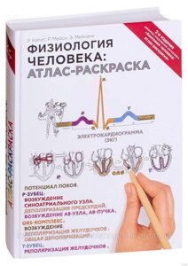 Фізіологія людини: атлас-розмальовка. Медична енциклопедія