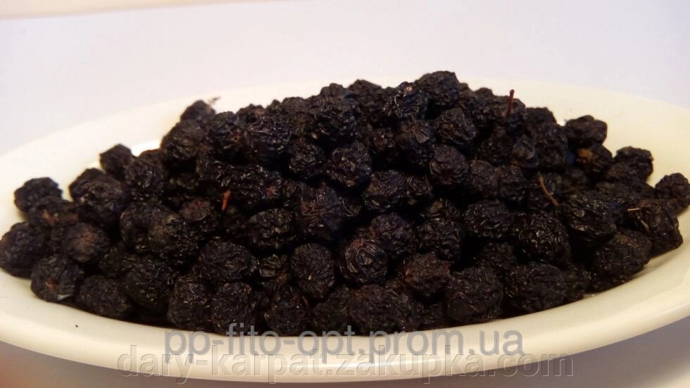 Горобина чорна (плоди) від компанії ДАРИ КАРПАТ - фото 1