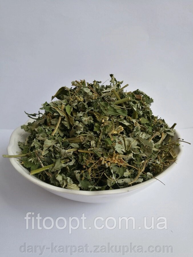 Таволга (комірник) трава з квітками 150 грам від компанії ДАРИ КАРПАТ - фото 1