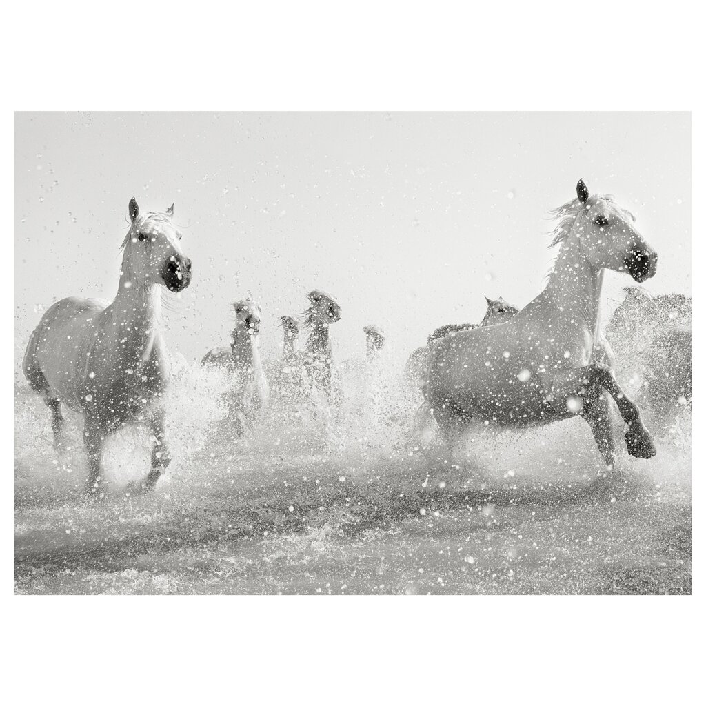 ІКЕА PJÄTTERYD П'ЄТТЕРИД, 805.194.42 Зображення, скачуть коні, 70x50 см від компанії MyHome - фото 1