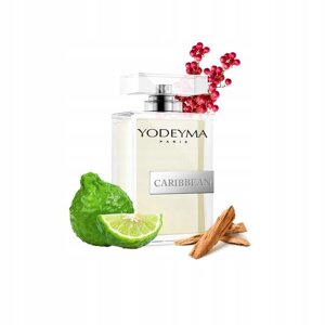 Yodeyma Caribbean 100 мл парфумована вода парфуми