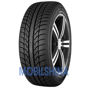 GT radial champiro winter pro 215/60 R16 99H XL