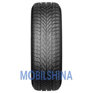 Paxaro inverno 215/50 R17 95V XL