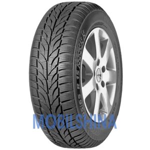 Paxaro winter 175/65 R14 82T