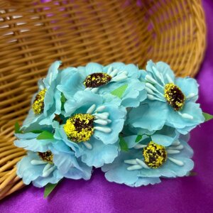 Мак дикий, букет 6 квітів - блакитний
