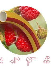 Шланг Патріот Fruit+Berry 3/4 50м