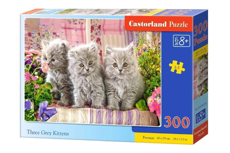 Кастор пазли 300 "Три сірі кошеня "40*29 /20/ від компанії Pavlusha Toys - фото 1