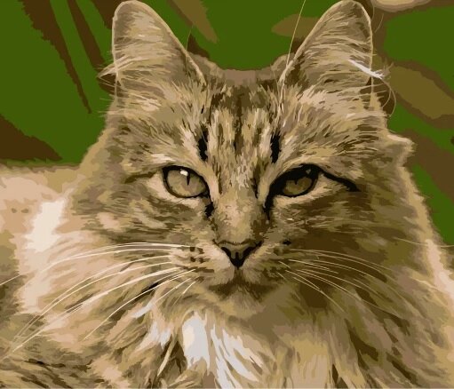 Набір для розпису по номерах Горда кішка Strateg розміром 40х50 см (DY186) від компанії Pavlusha Toys - фото 1