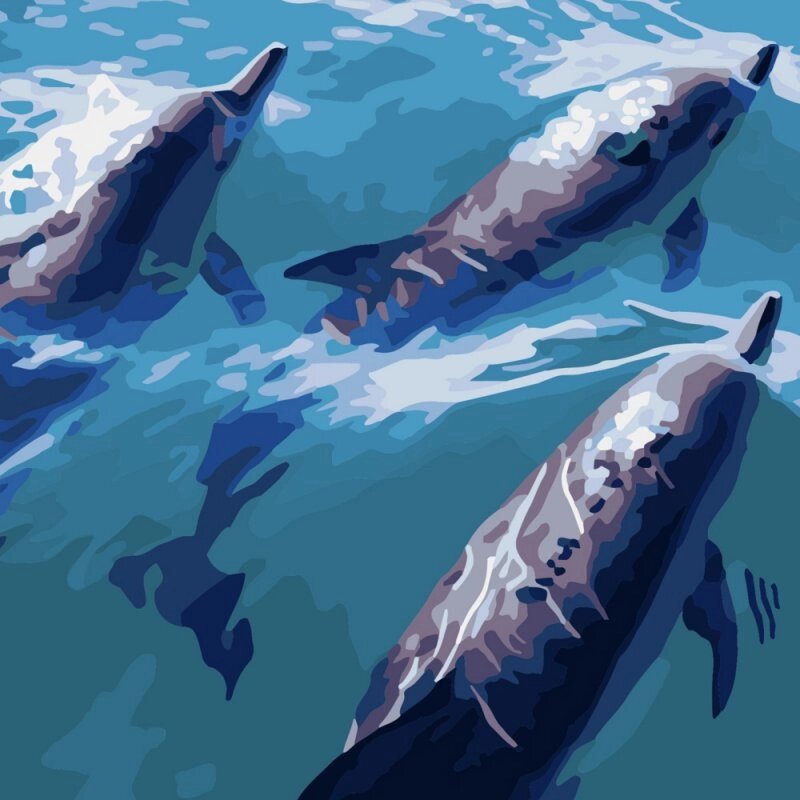 Набір для розпису по номерах Швидкі дельфіни Strateg розміром 40х40 см (SK034) від компанії Pavlusha Toys - фото 1