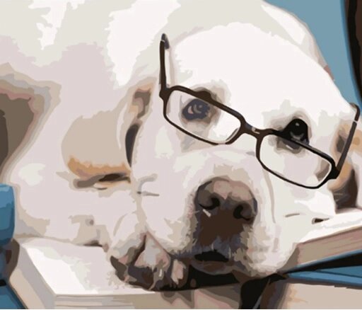 Набір для розпису по номерах Собака в окулярах Strateg розміром 40х50 см (HH089) від компанії Pavlusha Toys - фото 1