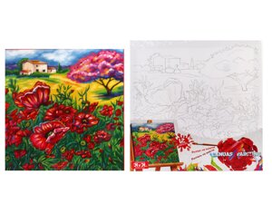 Творчість "Розпис на полотні "Canvas Painting" 31см*31см с. 5 №10 "Макове поле" Danko Toys