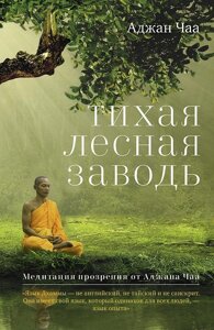 Тиха лісова заплава. Медитація прозріння від Аджана Чаам