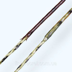 Повідковий матеріал в обплетенні GC G. Carp Coated Braid Semi Stiff 20 м.
