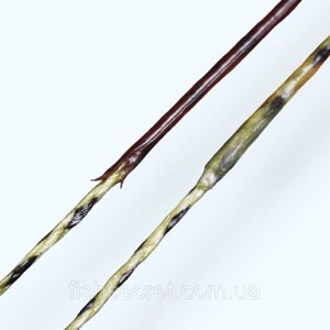 Повідковий матеріал в обплетенні GC G. Carp Coated Braid Semi Stiff 20 м. Зелений, 15