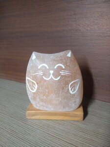 Соляна лампа - Милий котик (гімалайська сіль)