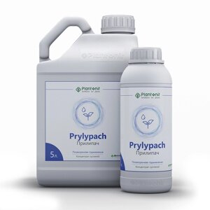 Prylypach