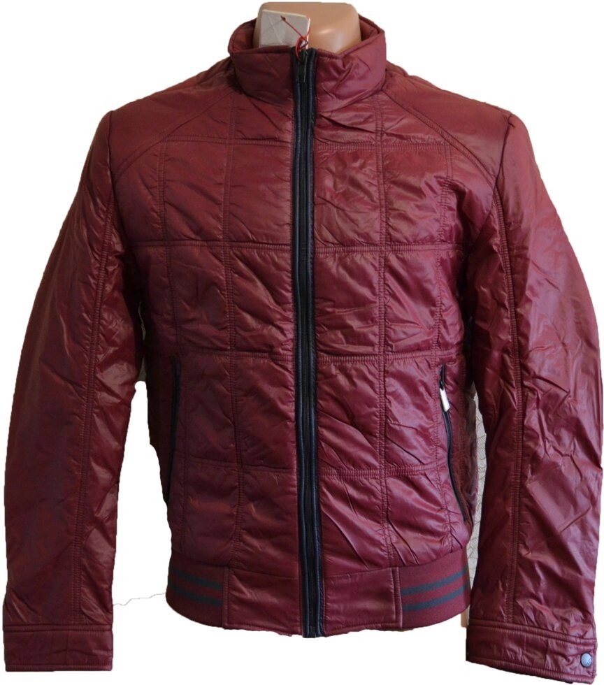 Весняна куртка Kings Wind 46, 48, 50 від компанії Чоловічий одяг великих розмірів Velikan - фото 1