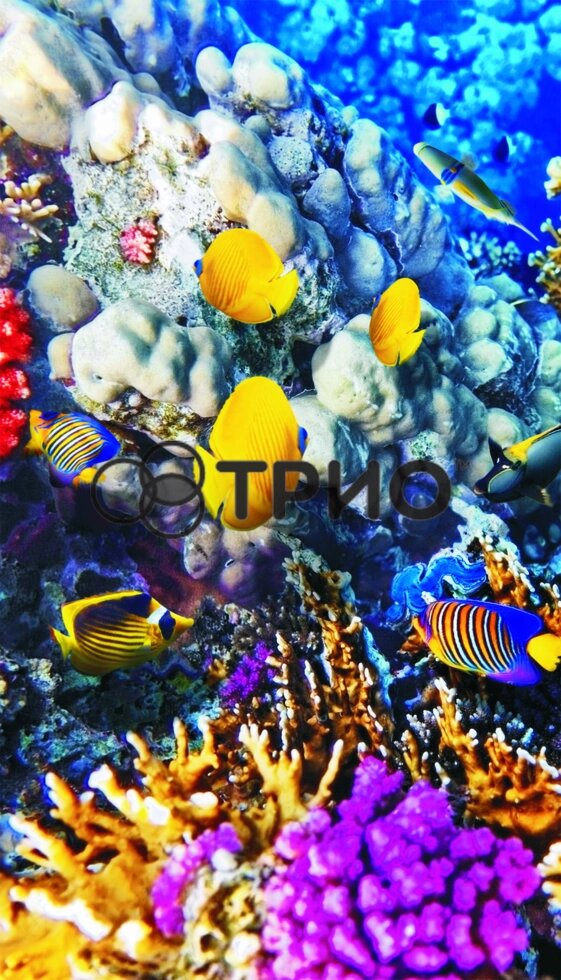 Настінний обігрівач "Кораловий риф (рибки)" від компанії Medzenet - фото 1