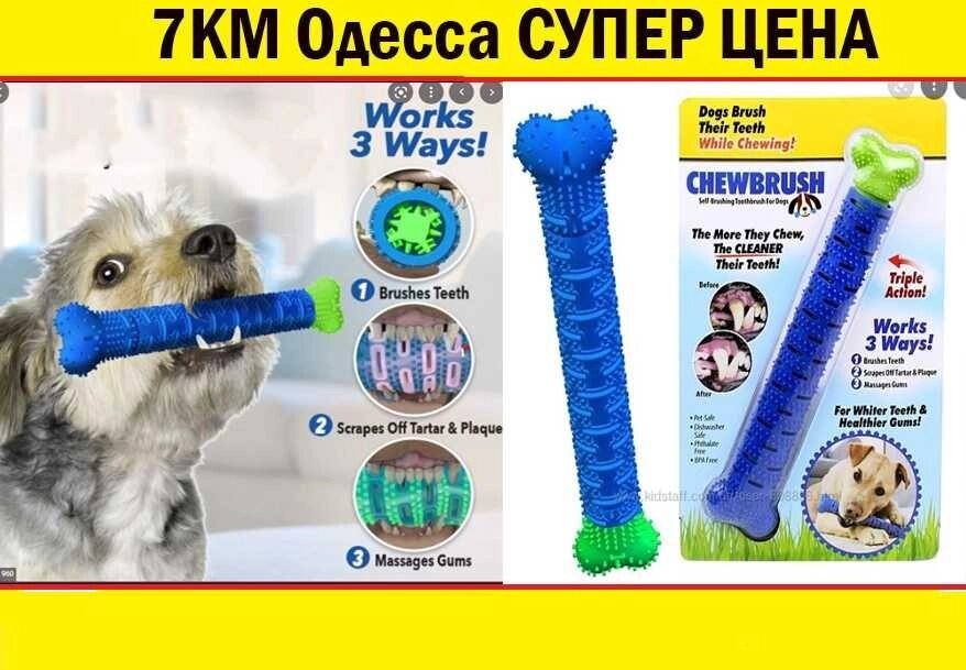 Іграшка для чищення зубів у собак зубна щітка для собак Chewbrush від компанії Premium - фото 1