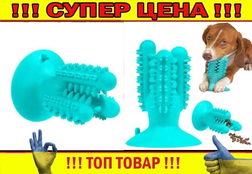 Іграшка для Собак Bronzedog PetFun Dental Кактус на присоску Очисна від компанії Premium - фото 1