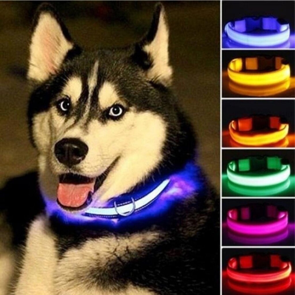 Нашийник для собак, що світиться, на акумуляторі USB GLOW RING від компанії Premium - фото 1