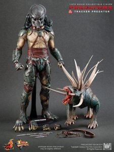 1/6 Hot toys mms 147 Tracker Predator