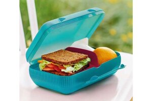 Tupperware ланчбокс з роздільником