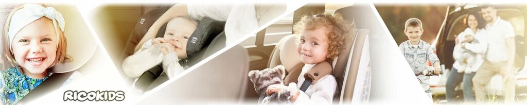 Автокрісло Ricokids Qway чорно-синє 9-36 кг ISOFIX від компанії Euromarka - фото 1