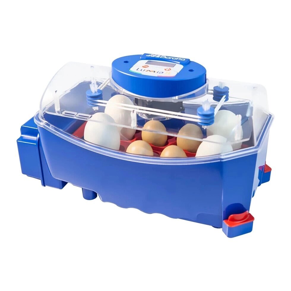 Інкубатор для яєць - 8 яєць - розповсюджувач води - Автоматична Borotto EX10370010 Обробка м'яса ( -) від компанії Euromarka - фото 1