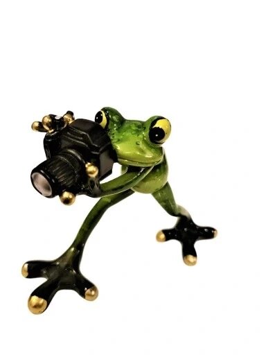 Керамічний орнамент - жаба żabka фотограф модель II Статуетка Бренд Європи від компанії Euromarka - фото 1