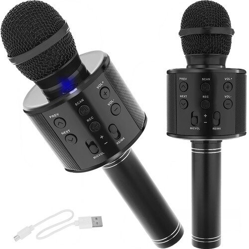 Мікрофон для караоке — чорний Izoxis 22189 від компанії Euromarka - фото 1