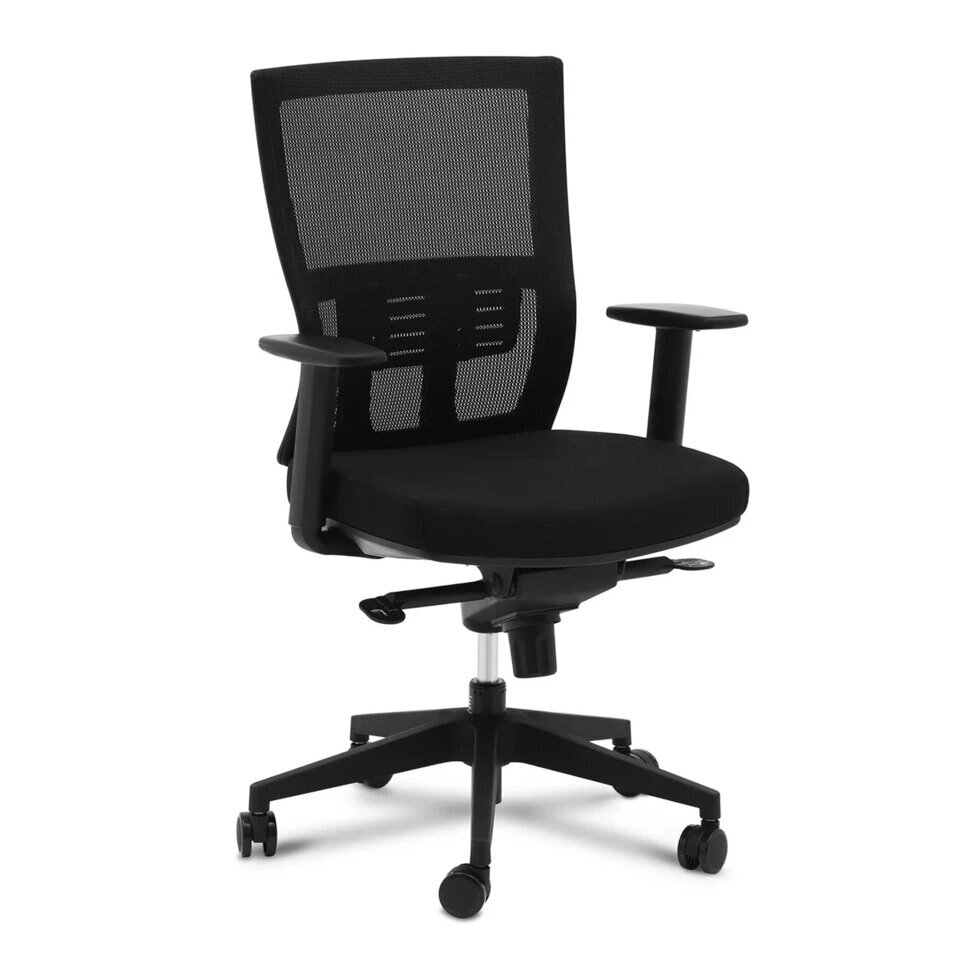 Офісне крісло - задня частина задньої частини - 100 kg Fromm & Starck EX10260285 офісні крісла ( -) від компанії Euromarka - фото 1
