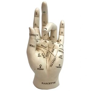 Рука рука для хіропрактинтів - читання руки Статуетка Бренд Європи