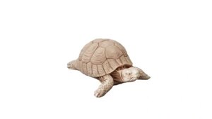 Прикраса саду Черепаха Черепаха Колір черепах як Live XXL Статуетка Бренд Європи