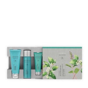 Artistry Skin Nutrition Міні-набір засобів для підтяжки шкіри