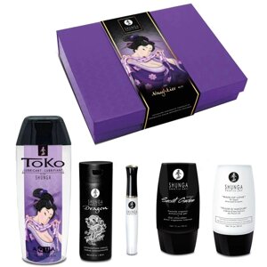 Подарунковий набір Shunga Naughtier Kit в Дніпропетровській області от компании Интернет магазин Персик