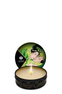 Масажна свічка MASSAGE CANDLE EXOTIC GREEN TEA, 30 мл