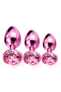 Набір анальних пробок Global Novelties NIXIE METAL BUTT PLUG TRAINER SET, PINK METALLIC