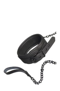 Нашийник з повідцем BLAZE COLLAR AND CHAIN ​​BLACK в Дніпропетровській області от компании Интернет магазин Персик