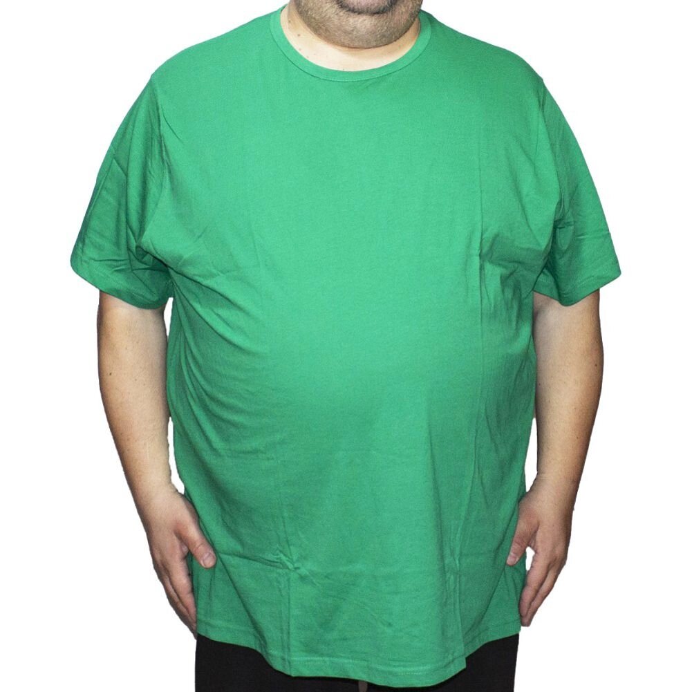 Футболка зеленая великого розміру від компанії Чоловічий одяг великих розмірів - фото 1