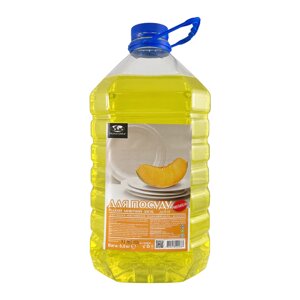 Миючий засіб для посуду Діня (0,95 кг) з дозатором