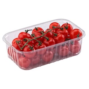 Пластиковий лоток для ягоди 500 грамів ПЕТ 193*117*53 см