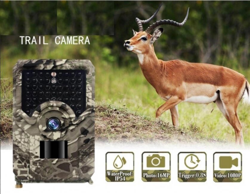 Фотопастка Hunting PR-200 Pro 20м 49pcs IR 20м з датчиком руху 20м 12MP IP56 Камера для охорони від компанії Інтернет магазин Cho-po-chem - фото 1