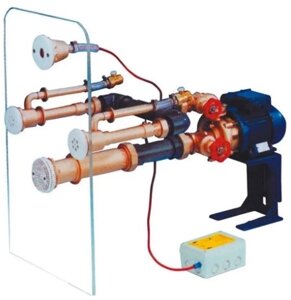 Гідромасаж Fitstar Standard 8698021, 0.5 кВт (230 В, 2 форсунки, збірний басейн), для солоної води